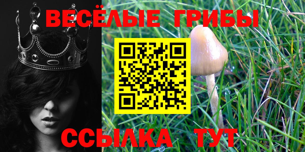 Галлюциногенные грибы MAGIC MUSHROOMS Дивногорск